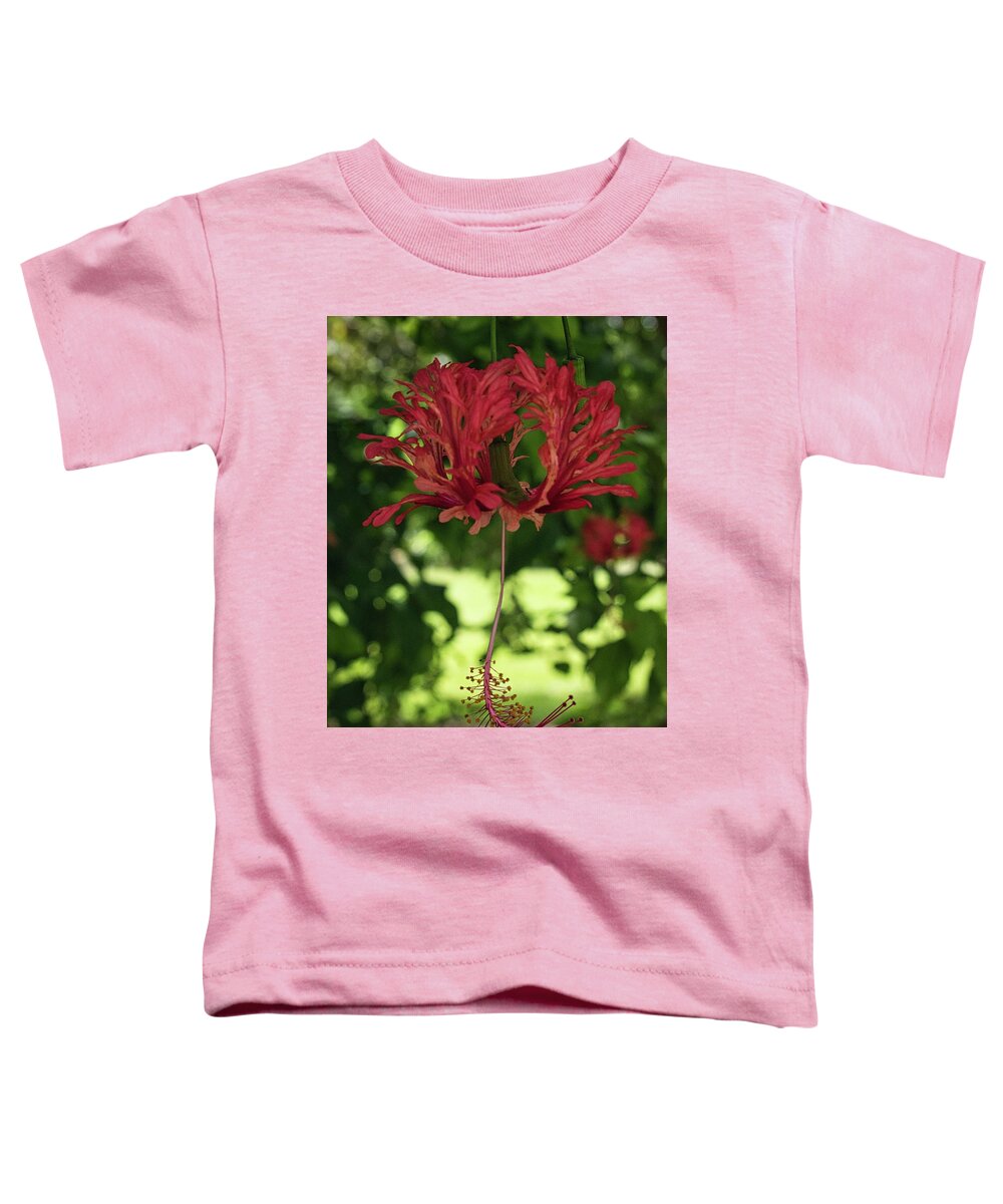 Flower Toddler T-Shirt featuring the photograph Japanese Lantern Hibisucs by Portia Olaughlin