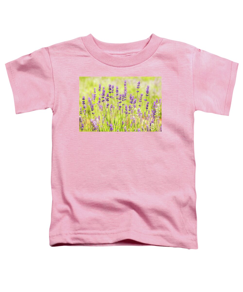 Lavender Toddler T-Shirt featuring the photograph Lavender Field by Elvira Peretsman