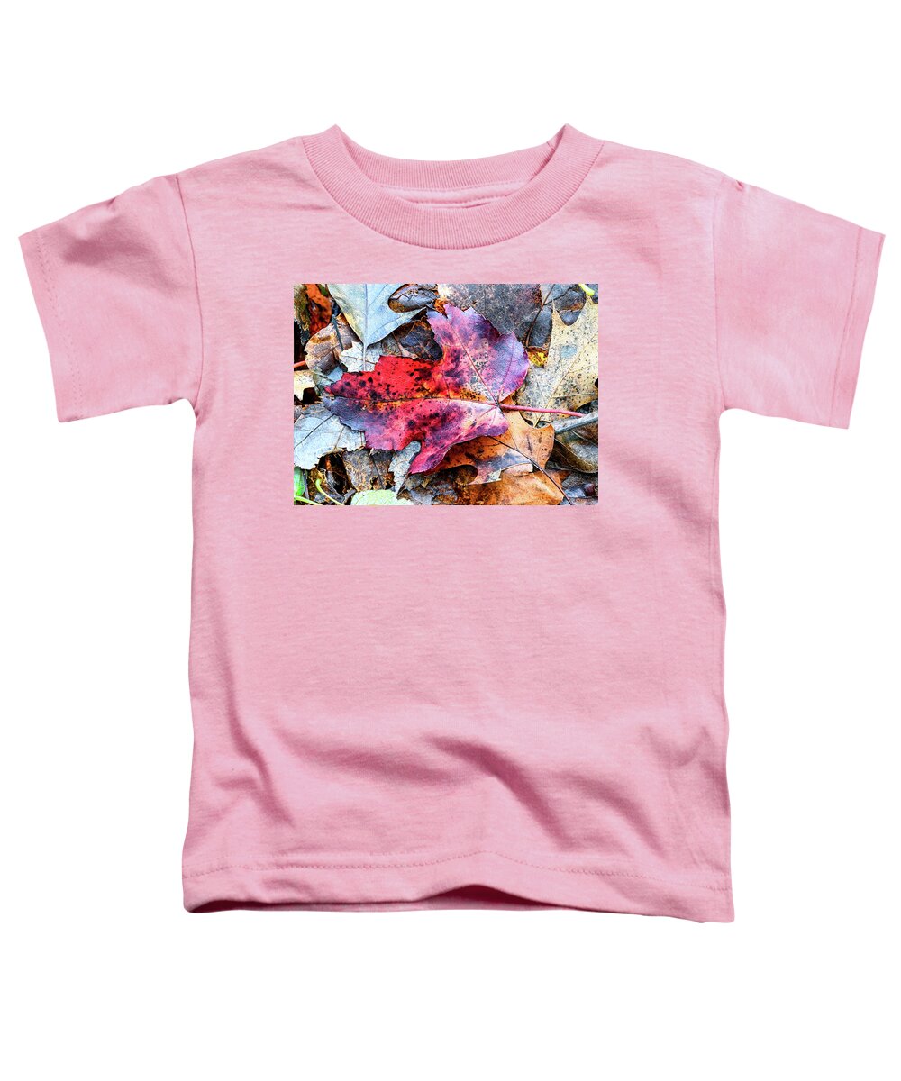 Fall Toddler T-Shirt featuring the photograph Leaf Carpet by Steven Nelson