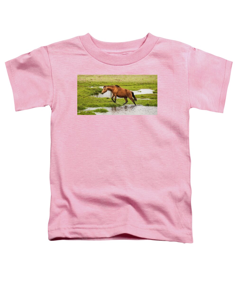 Assateague Toddler T-Shirt featuring the photograph Liz's Serenity by Dale R Carlson