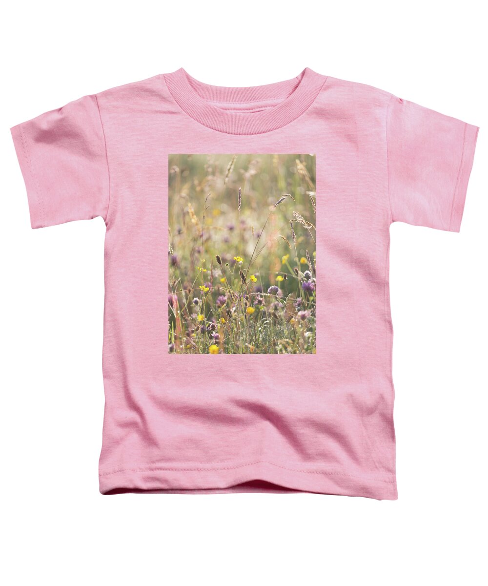 Mid Summer Meadow Toddler T-Shirt featuring the photograph Mid summer meadow by Anita Nicholson