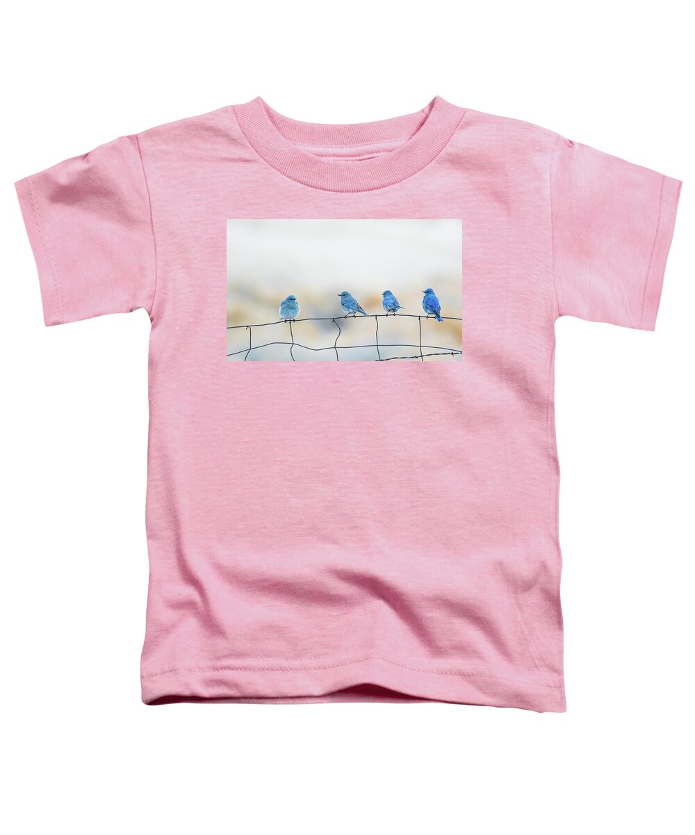 Mountain Bluebird Toddler T-Shirt featuring the photograph Mountain Bluebirds 5 by Rick Mosher