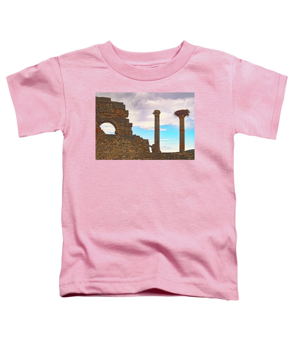 Roman Ruins Toddler T-Shirt featuring the photograph Perch Among the Ruins by Edward Shmunes