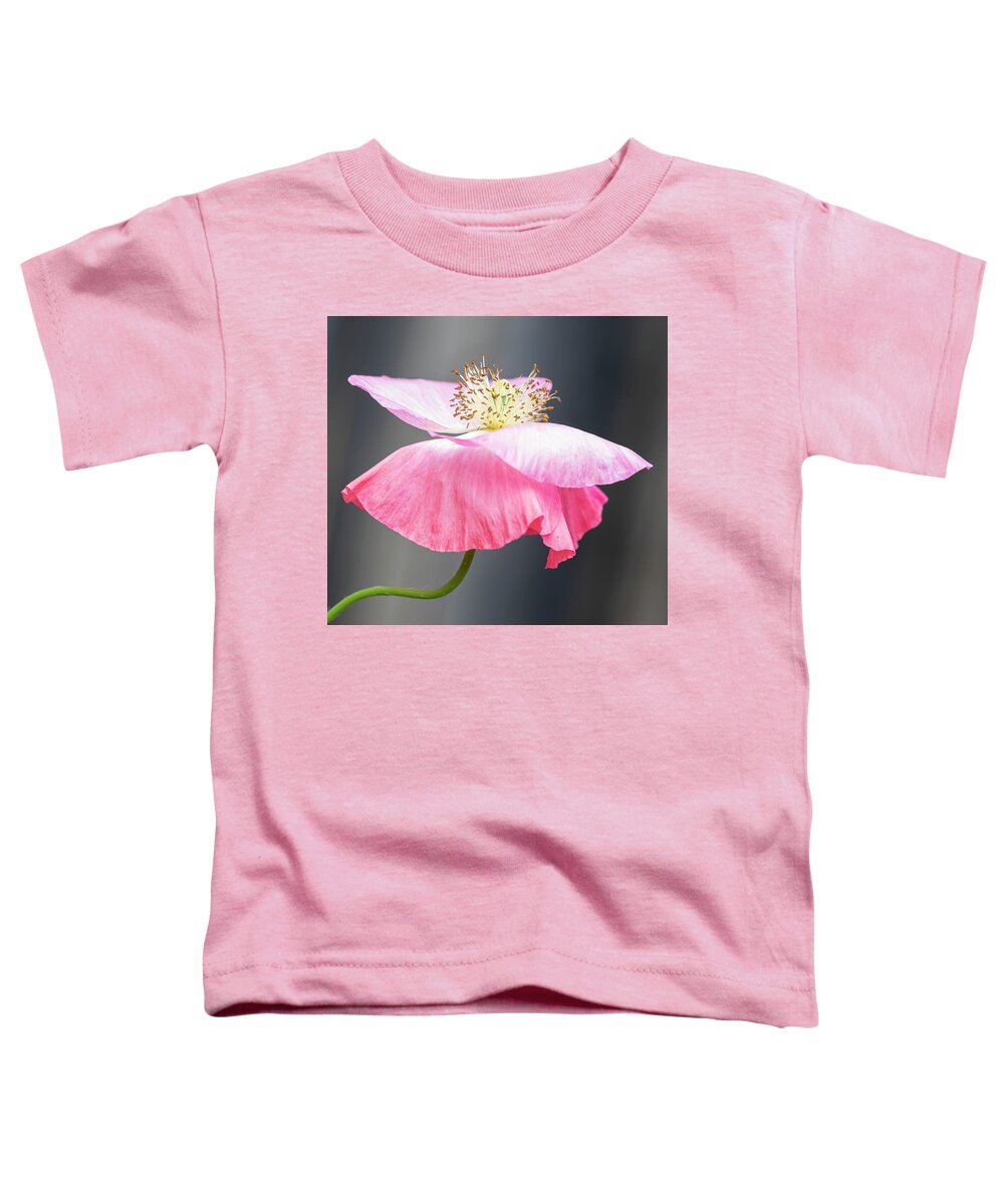 Poppy Toddler T-Shirt featuring the photograph Pink Poppy 2021-2 by Thomas Young