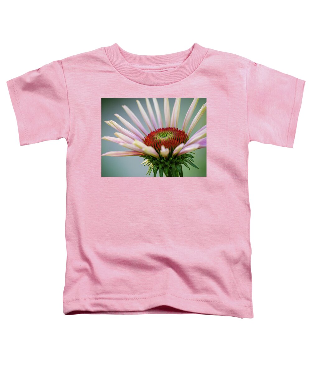 Echinacea Toddler T-Shirt featuring the photograph Purple Coneflower 3 by Todd Bannor
