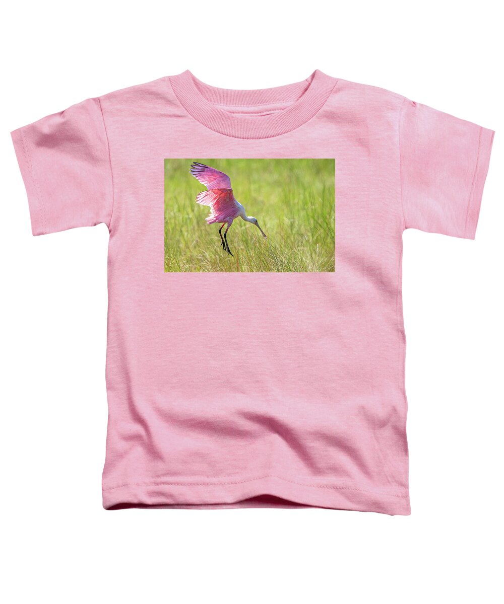 Roseate Spoonbill Toddler T-Shirt featuring the photograph Roseate Spoonbill by Linda Shannon Morgan