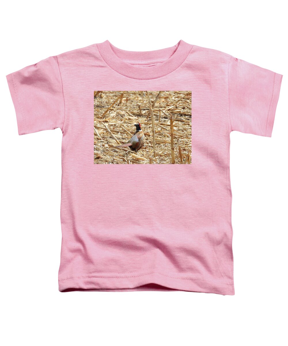 Pheasant Toddler T-Shirt featuring the photograph Running Pheasant by Amanda R Wright