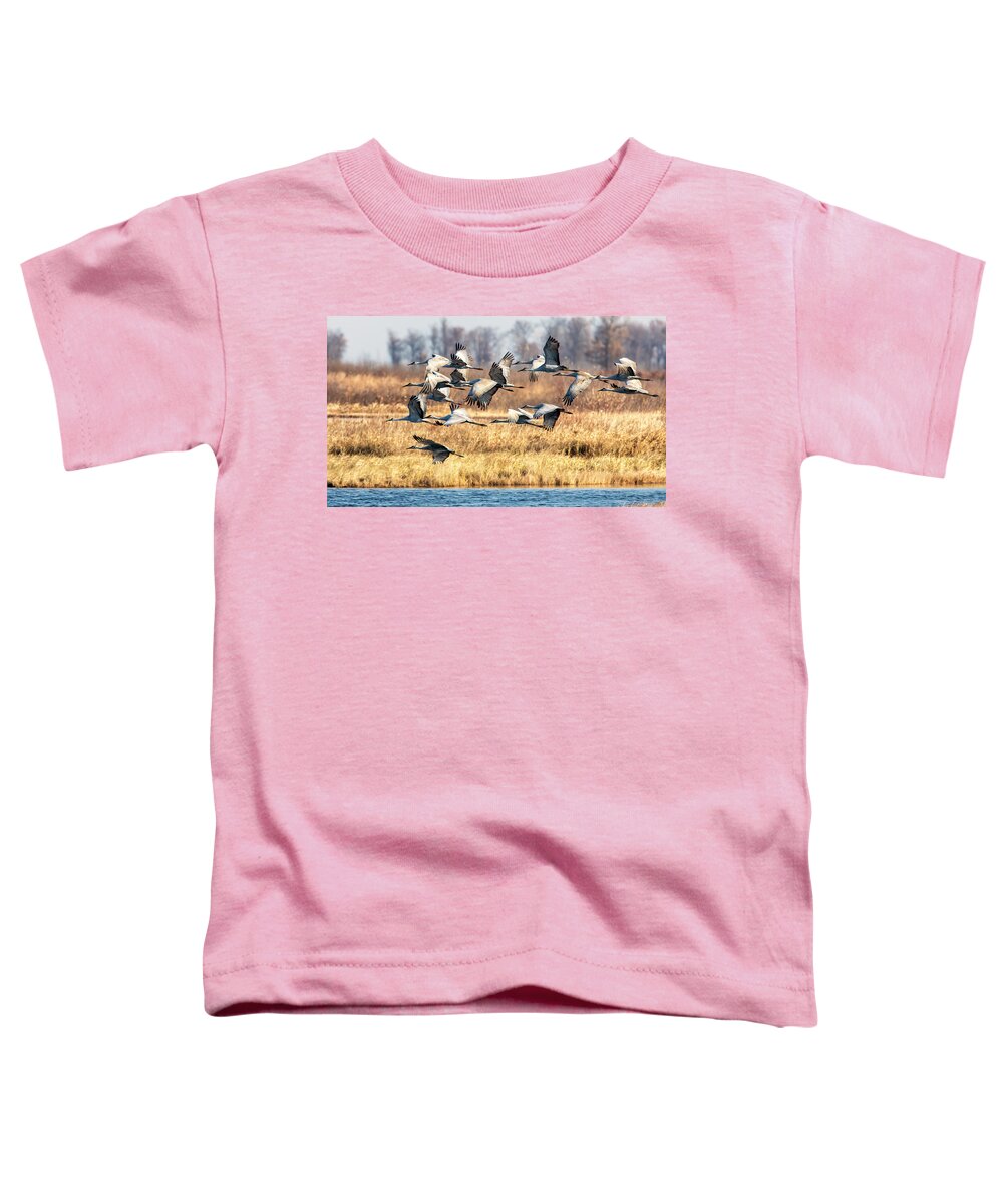 Sandhill Toddler T-Shirt featuring the photograph Sandhill Cranes by Al Mueller