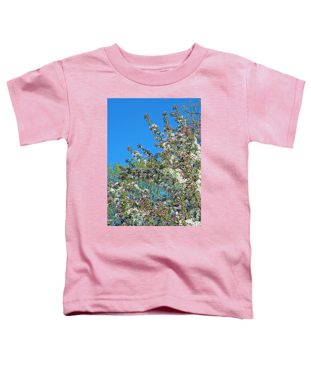Dexter Toddler T-Shirt featuring the photograph Skyward Glimpse of Spring 1 by Jill Love