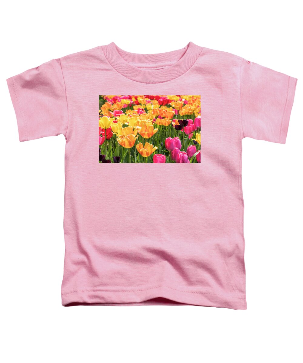  Toddler T-Shirt featuring the photograph Spring Tulip Field #8 - Black Alone by Patti Deters