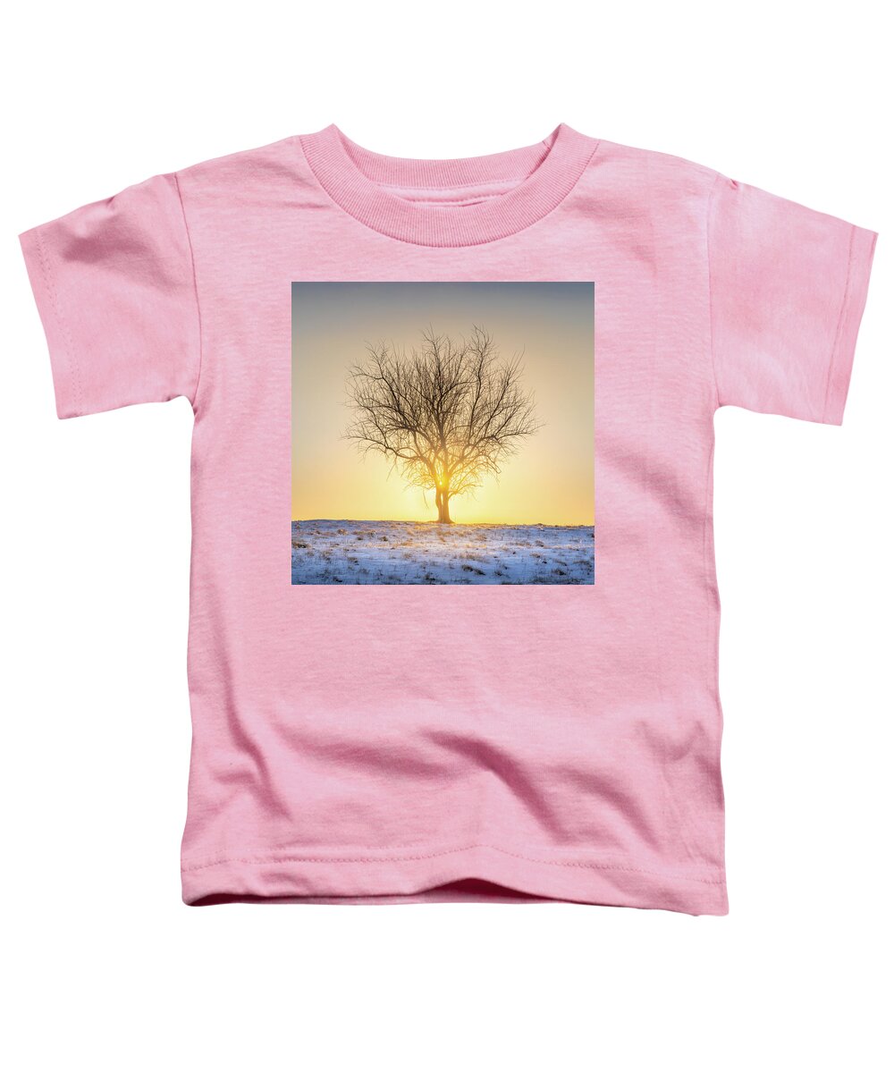 Sunrise Toddler T-Shirt featuring the photograph Sunrise Through The Tree Cold Winter Morning Tupelo Mississippi by Jordan Hill
