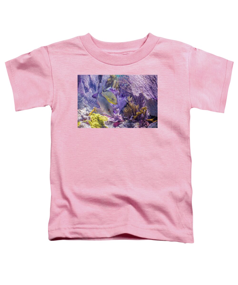 Animals Toddler T-Shirt featuring the photograph Swim WIth Me by Lynne Browne