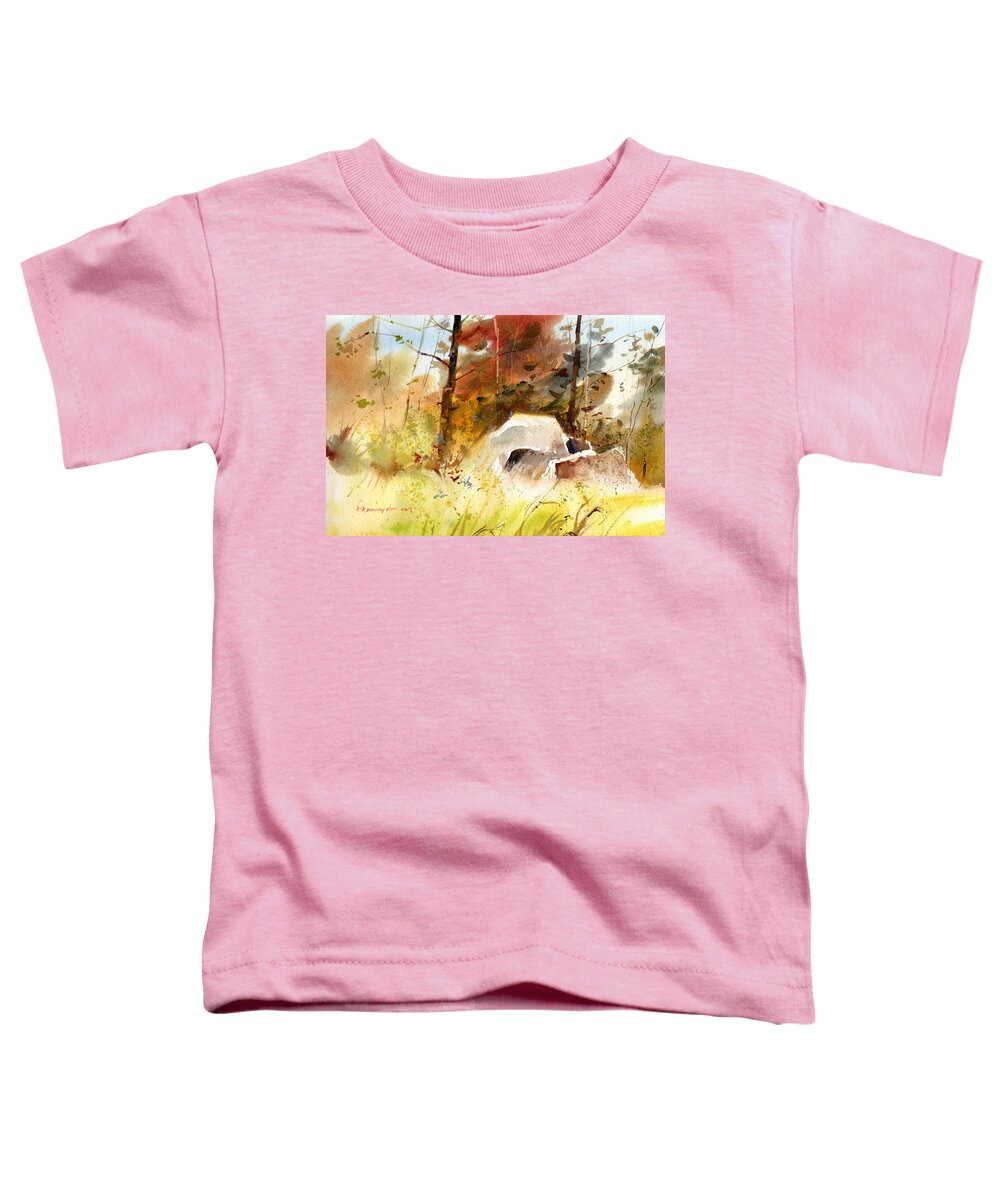 New England Scenes Toddler T-Shirt featuring the painting The Color of Fall II by P Anthony Visco