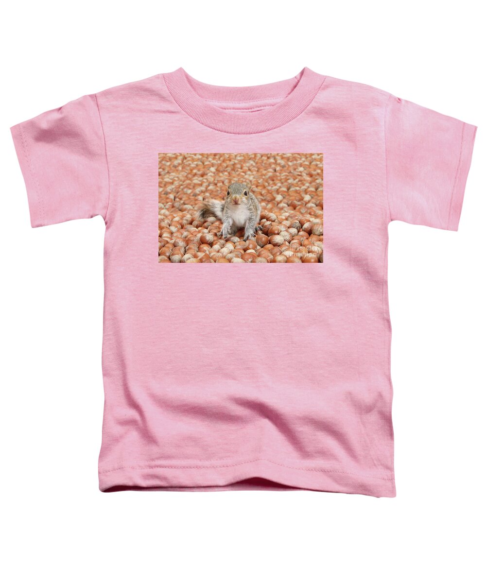 Young Grey Squirrel Toddler T-Shirt featuring the photograph The sea of Nuts by Warren Photographic