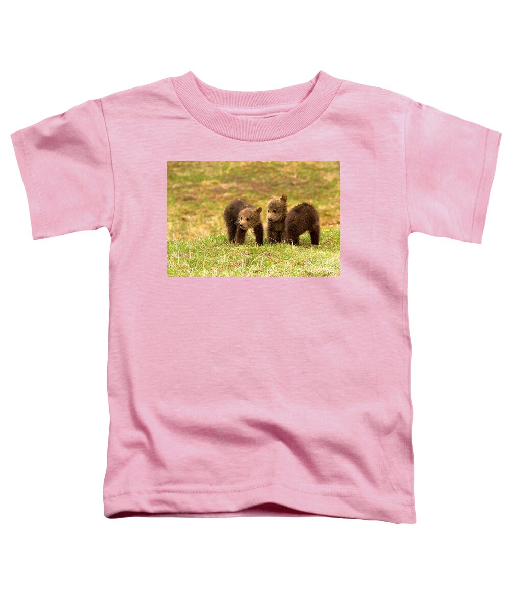 Grizzly Toddler T-Shirt featuring the photograph Two Faces And A Butt by Adam Jewell