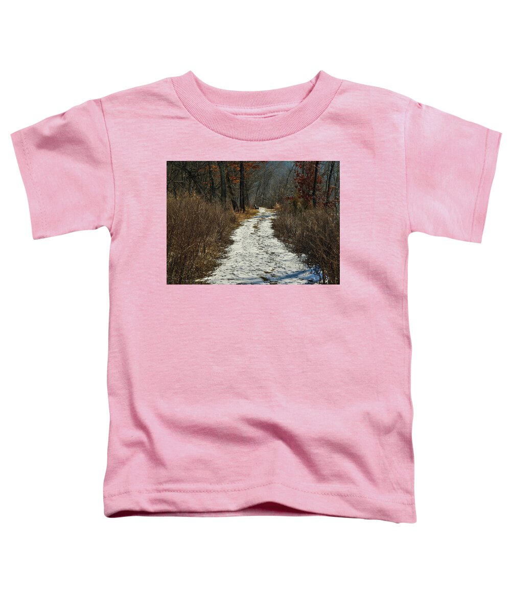Seasons Toddler T-Shirt featuring the photograph Upstate NY Winter Trails by Amelia Pearn
