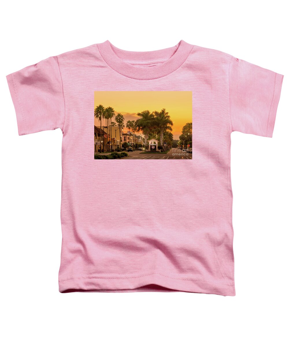 Gulf Coast Toddler T-Shirt featuring the photograph Warm Sunset in Historic Venice, Florida by Liesl Walsh