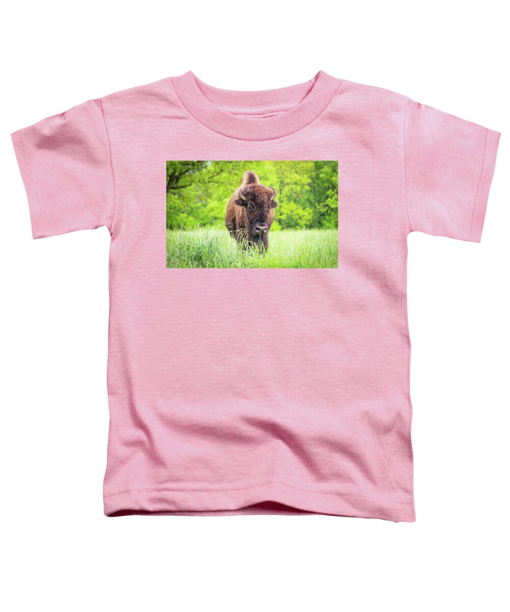 Buffalo Toddler T-Shirt featuring the photograph Wilderness Rider by David Dedman