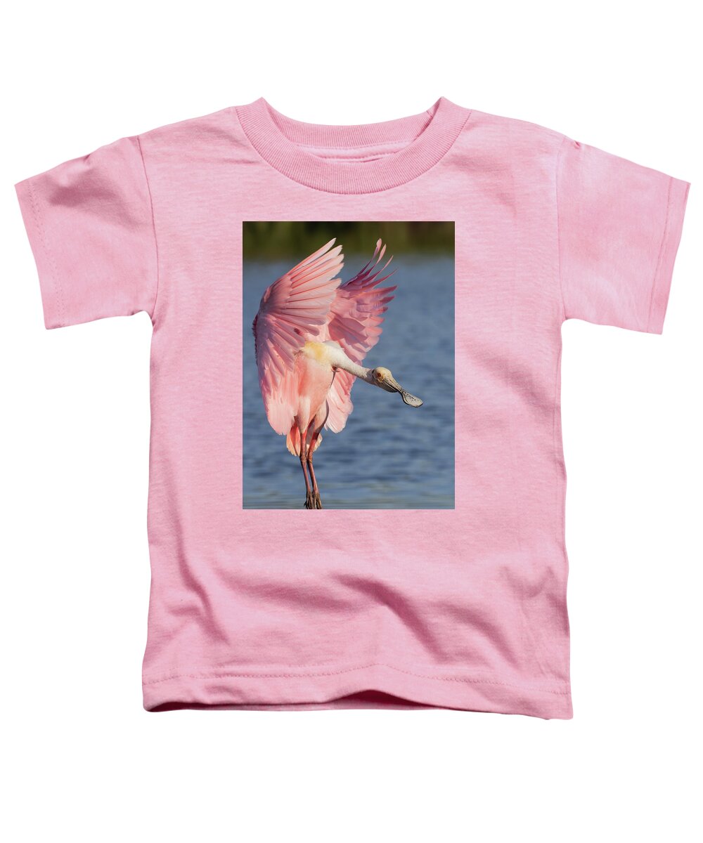 Roseate Spoonbill Toddler T-Shirt featuring the photograph Wings up, neck out by RD Allen
