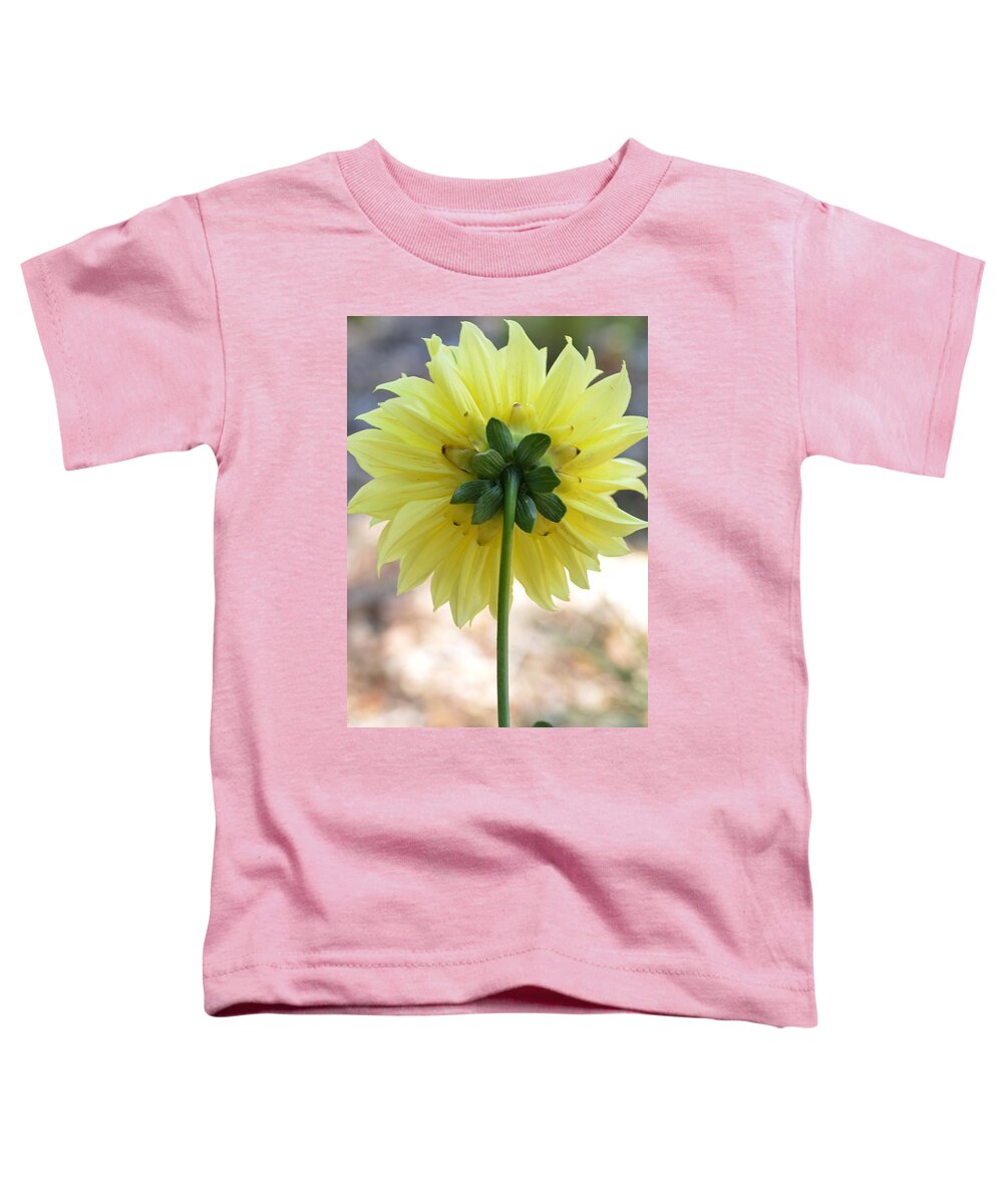 Dahlia Toddler T-Shirt featuring the photograph Yellow Dahlia Silhouette by Amy Fose