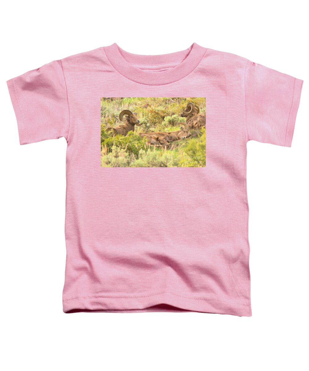 Bighorn Toddler T-Shirt featuring the photograph Zonked Out by Adam Jewell