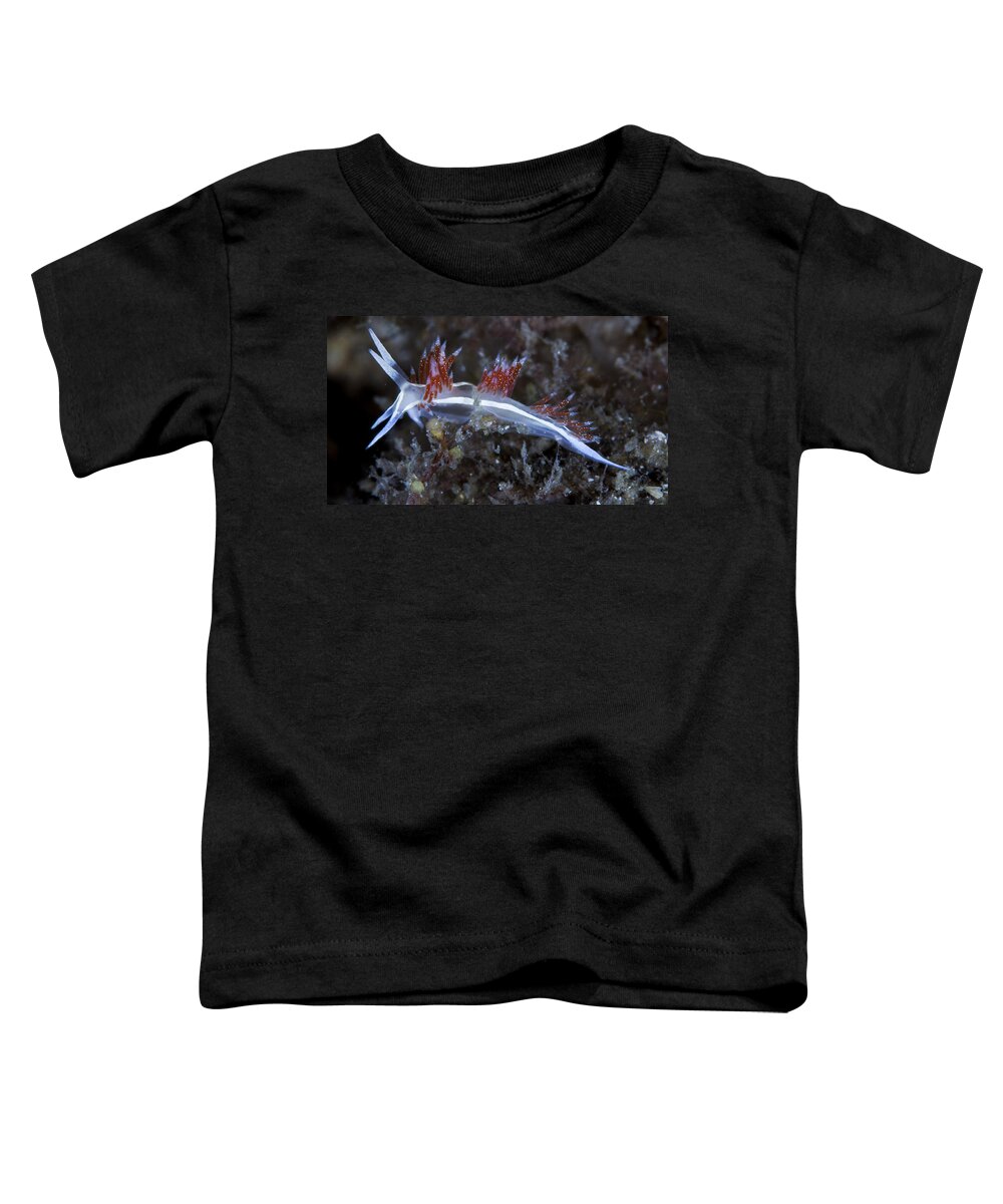 Flabellina Toddler T-Shirt featuring the photograph Flabellina-one by Sandra Edwards