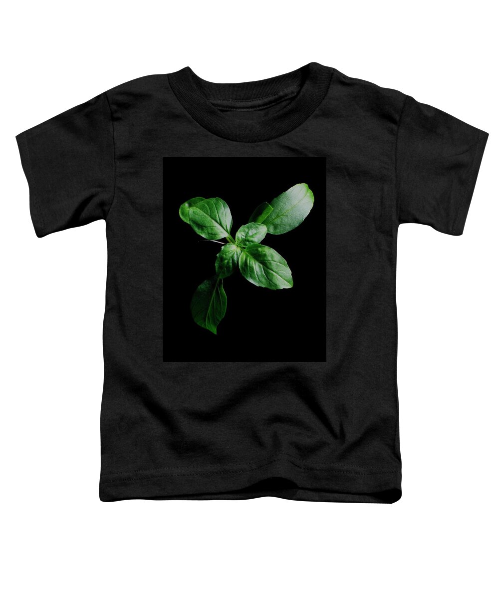 Herbs Toddler T-Shirt featuring the photograph A Sprig Of Basil #1 by Romulo Yanes