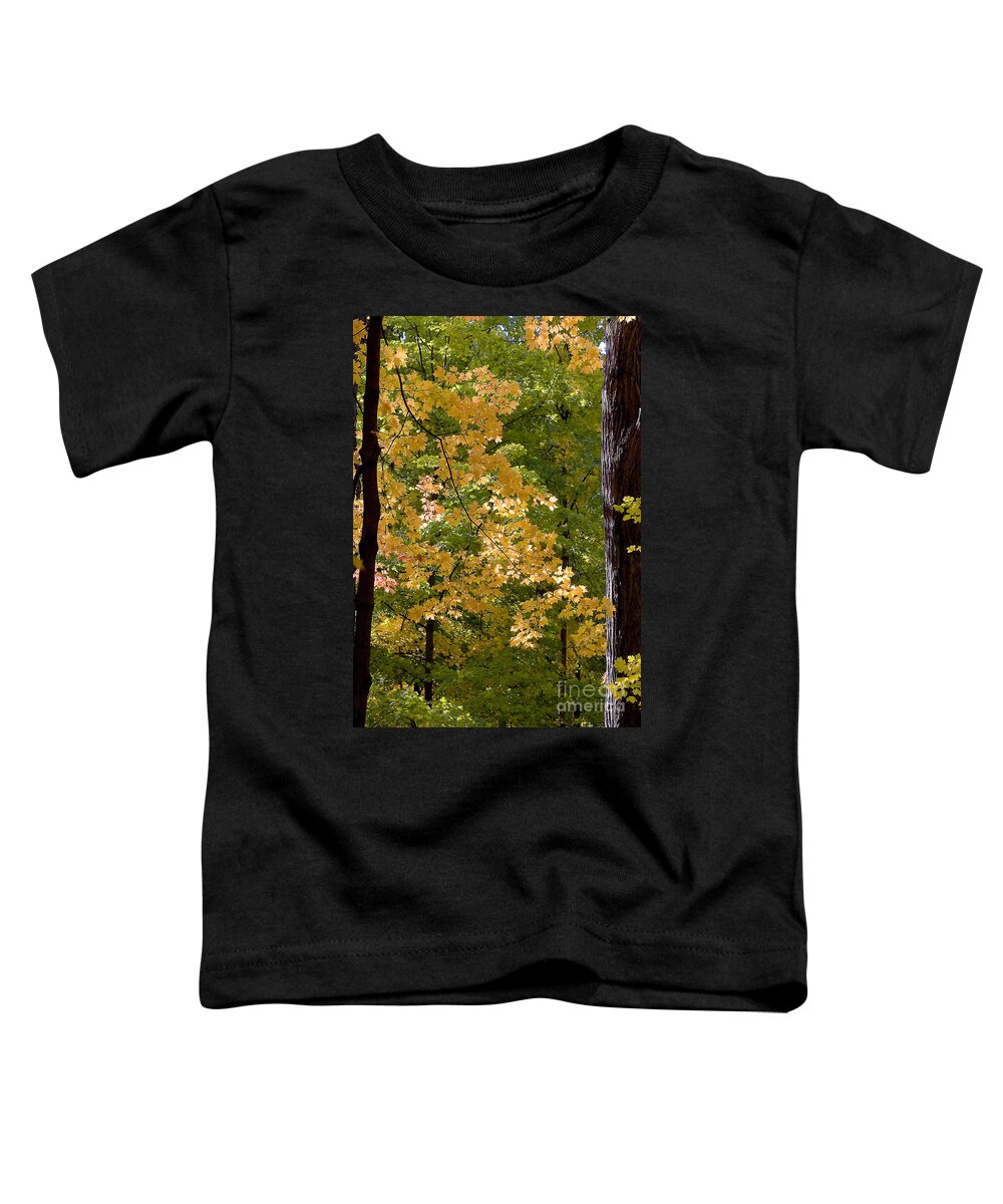Autumn Toddler T-Shirt featuring the photograph Fall Maples #1 by Steven Ralser