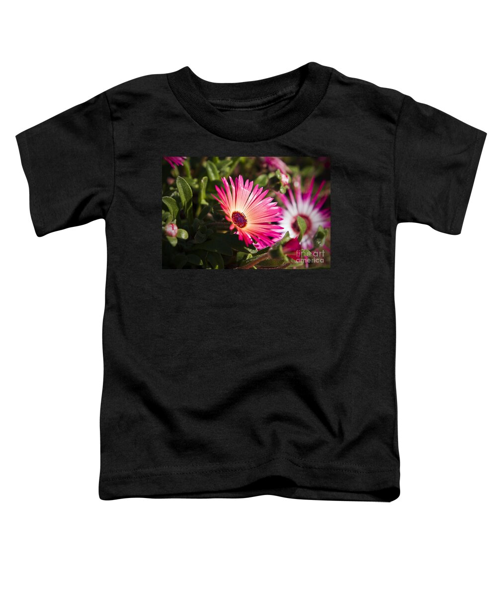 Flowers Toddler T-Shirt featuring the photograph Flower #1 by Gunnar Orn Arnason
