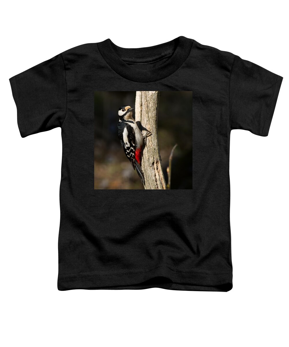 Great Spotted Woodpecker Toddler T-Shirt featuring the photograph Great Spotted Woodpecker #1 by Torbjorn Swenelius