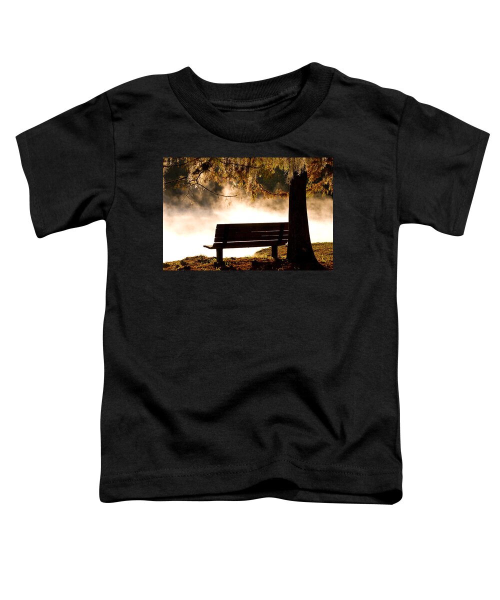 Alexander Springs Toddler T-Shirt featuring the photograph Morning Mist at the Spring #1 by Stefan Mazzola