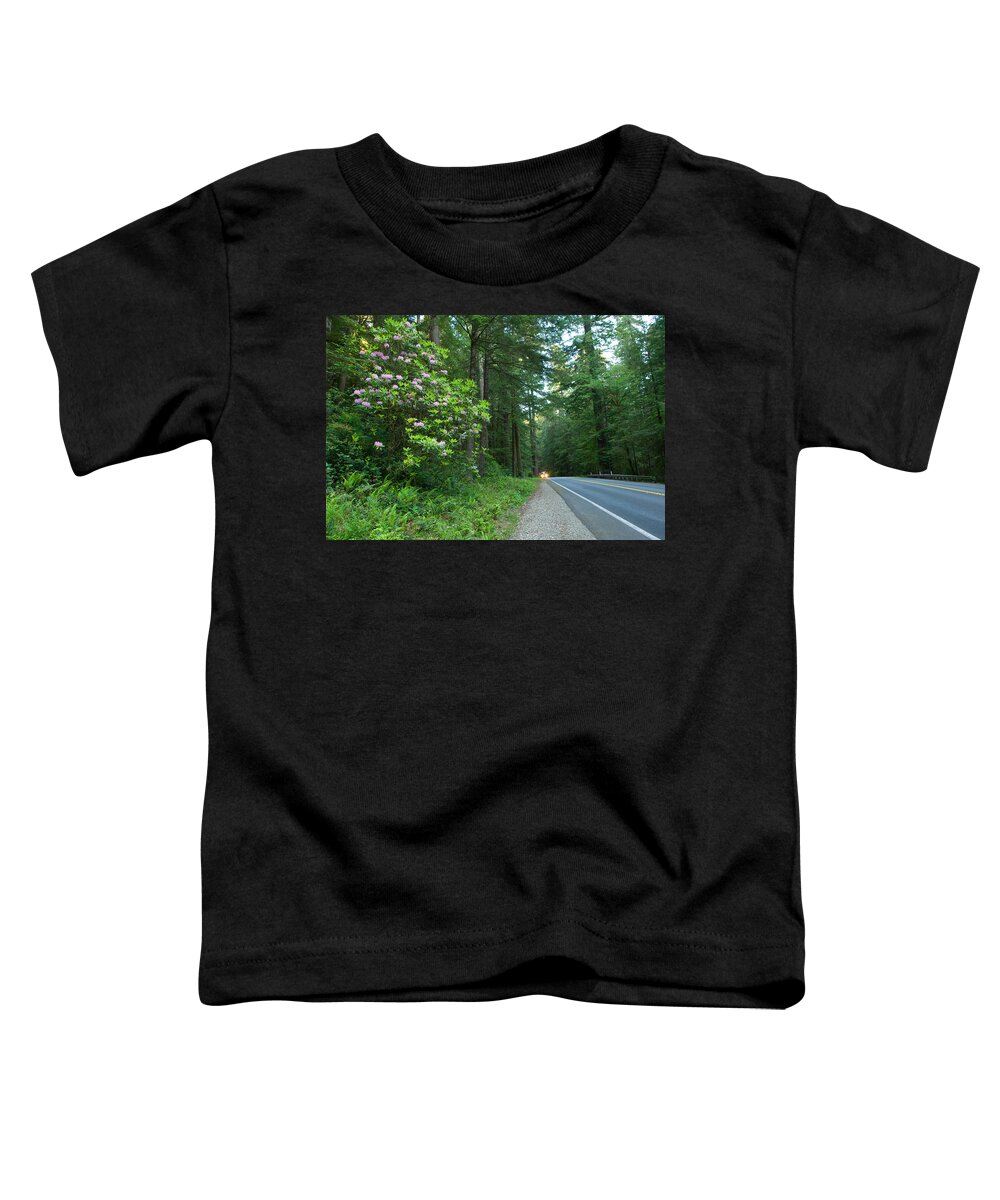 Photography Toddler T-Shirt featuring the photograph Redwood Trees And Rhododendron Flowers #1 by Panoramic Images