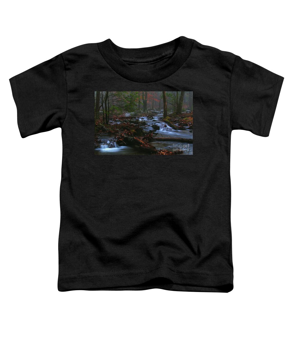 Cades Cove Toddler T-Shirt featuring the photograph Smoky Mountain Color #1 by Douglas Stucky