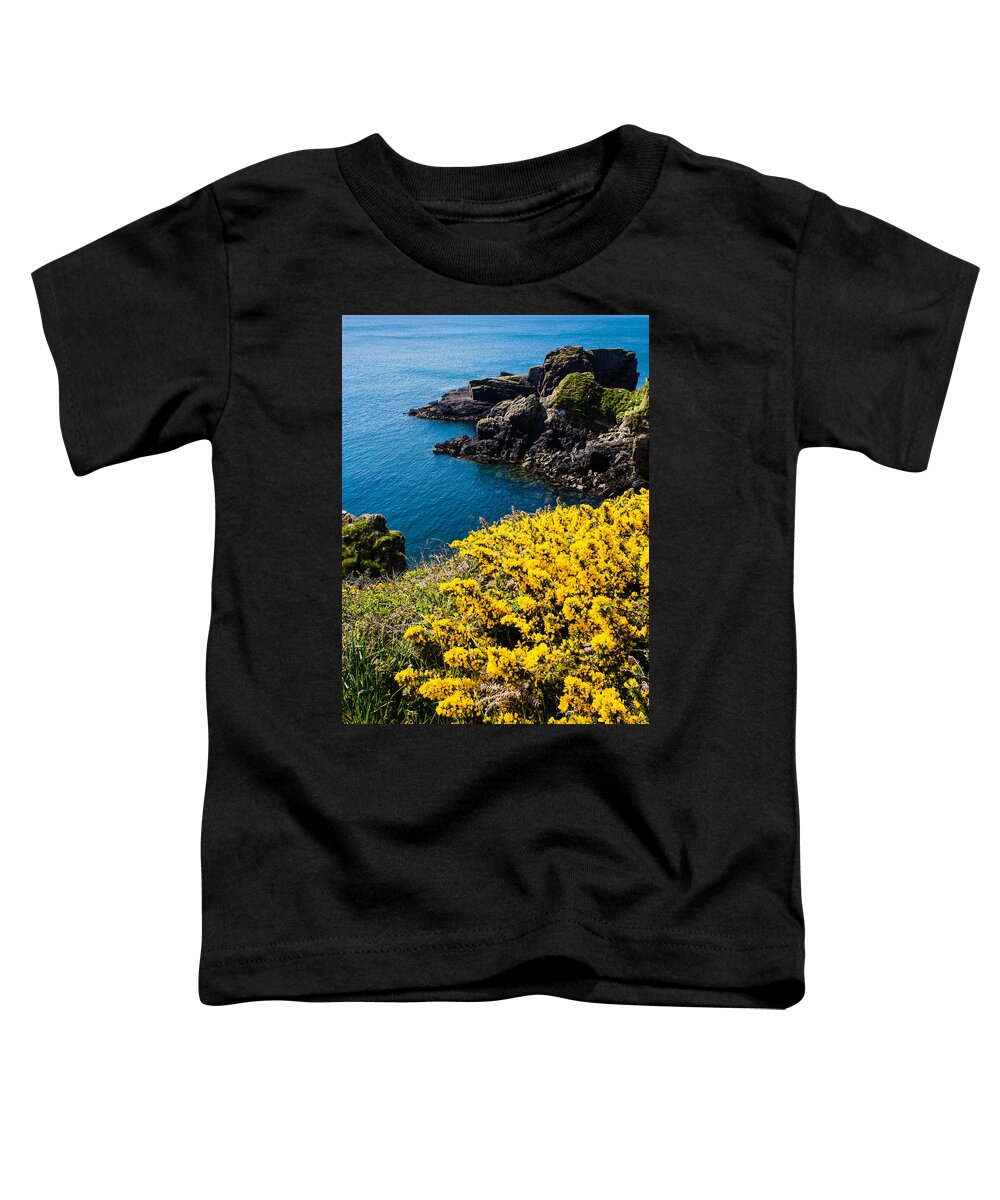 Birth Place Toddler T-Shirt featuring the photograph St Non's Bay West Wales #1 by Mark Llewellyn