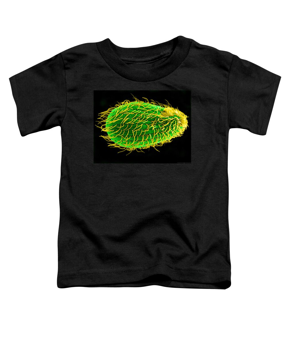 Tetrahymena Toddler T-Shirt featuring the photograph Tetrahymena Thermophila, Sem #1 by Aaron J. Bell