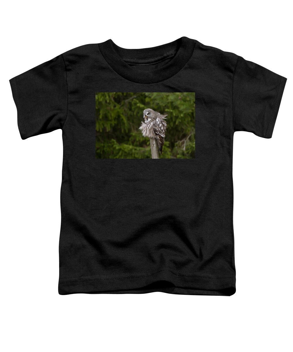 Great Gray Owl Toddler T-Shirt featuring the photograph The Great Grey Owl by Torbjorn Swenelius