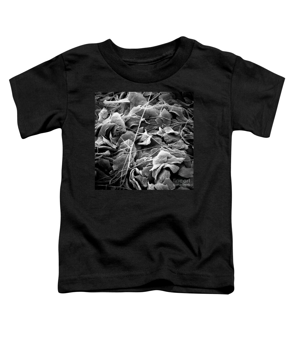 Candida Toddler T-Shirt featuring the photograph Candida #10 by David M. Phillips