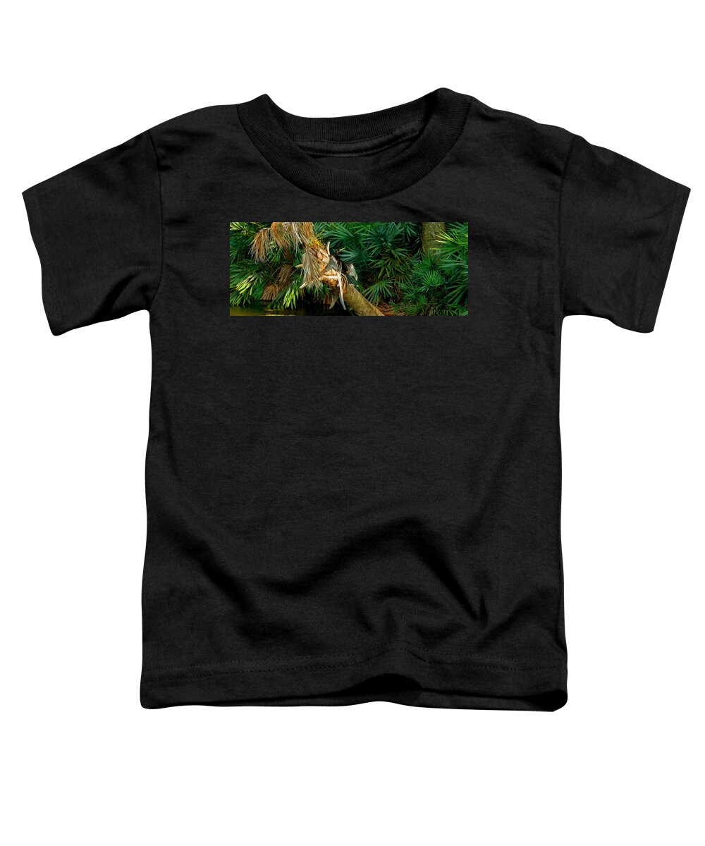 Photography Toddler T-Shirt featuring the photograph Anhinga Anhinga Anhinga On A Tree #2 by Panoramic Images