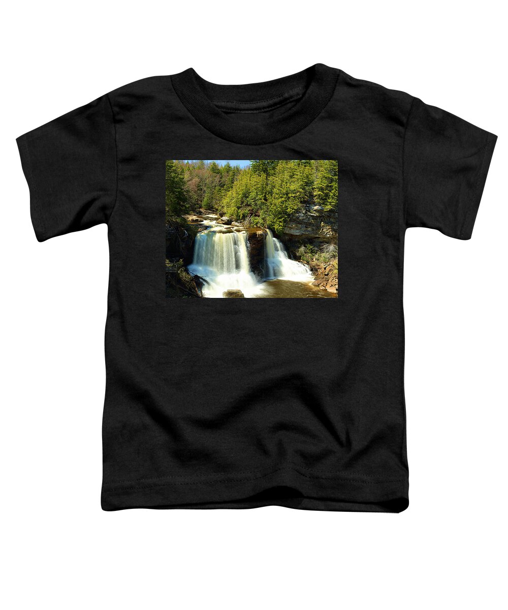 Black Toddler T-Shirt featuring the photograph Blackwater Falls #2 by Metro DC Photography