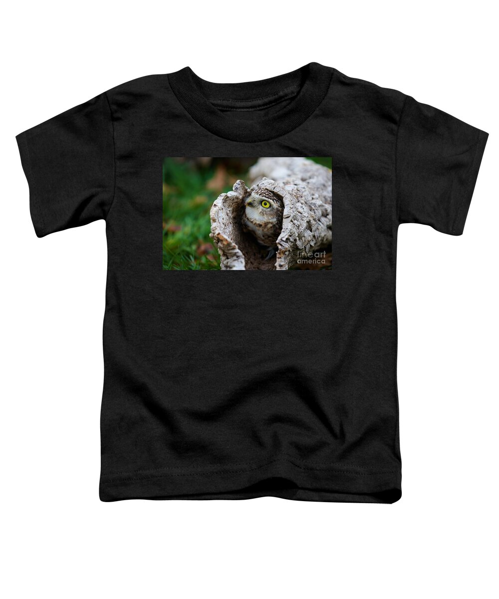 Closeup Toddler T-Shirt featuring the photograph Burrowing Owl #3 by Nick Biemans