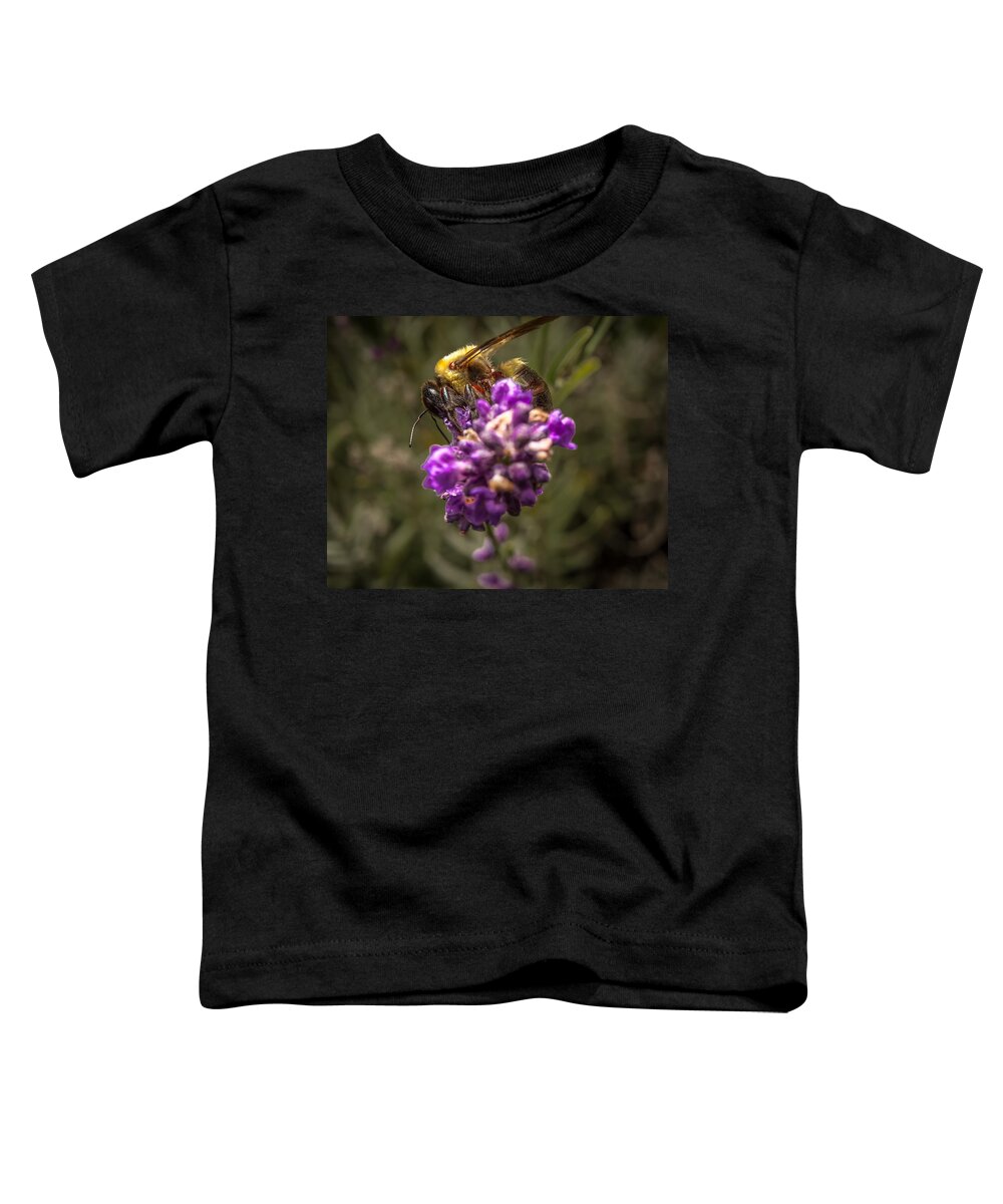 Flower Toddler T-Shirt featuring the photograph Carpenter Bee on a Lavender Spike by Ron Pate