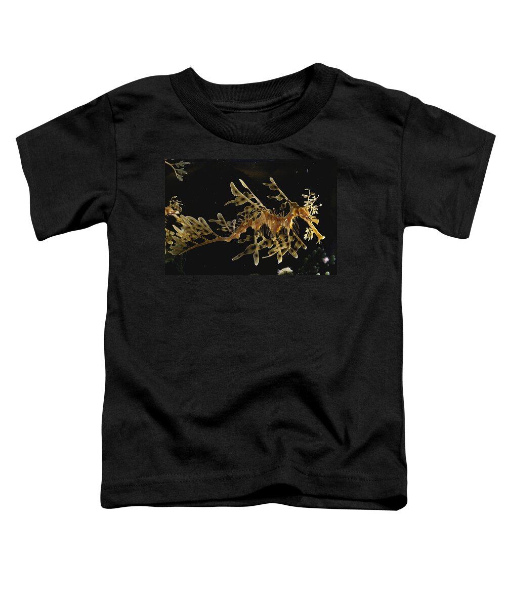 Actinopterygii Toddler T-Shirt featuring the photograph Leafy Sea Dragon #2 by Paul Zahl