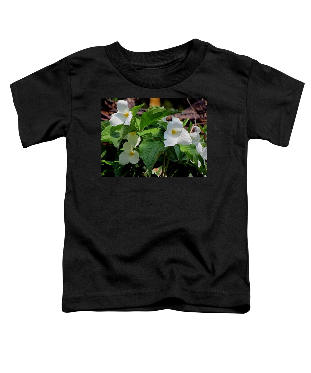Trillium Toddler T-Shirt featuring the photograph Springtime Trillium #2 by David T Wilkinson
