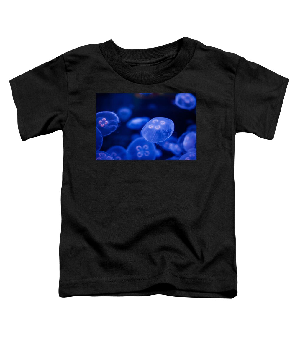 Jellyfish Toddler T-Shirt featuring the photograph Jellyfish #24 by U Schade
