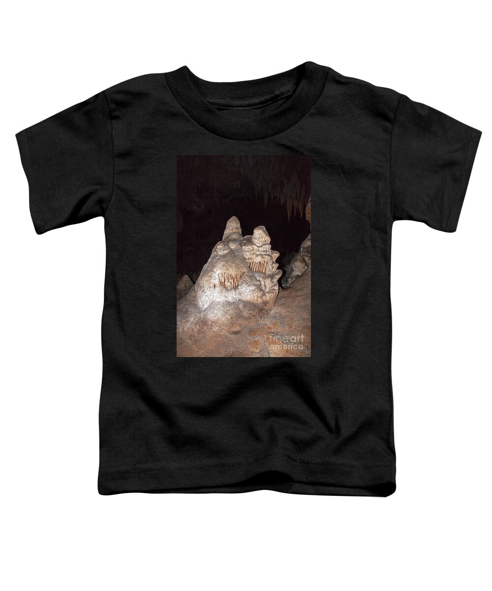 Carlsbad Toddler T-Shirt featuring the photograph Carlsbad Caverns National Park #3 by Fred Stearns