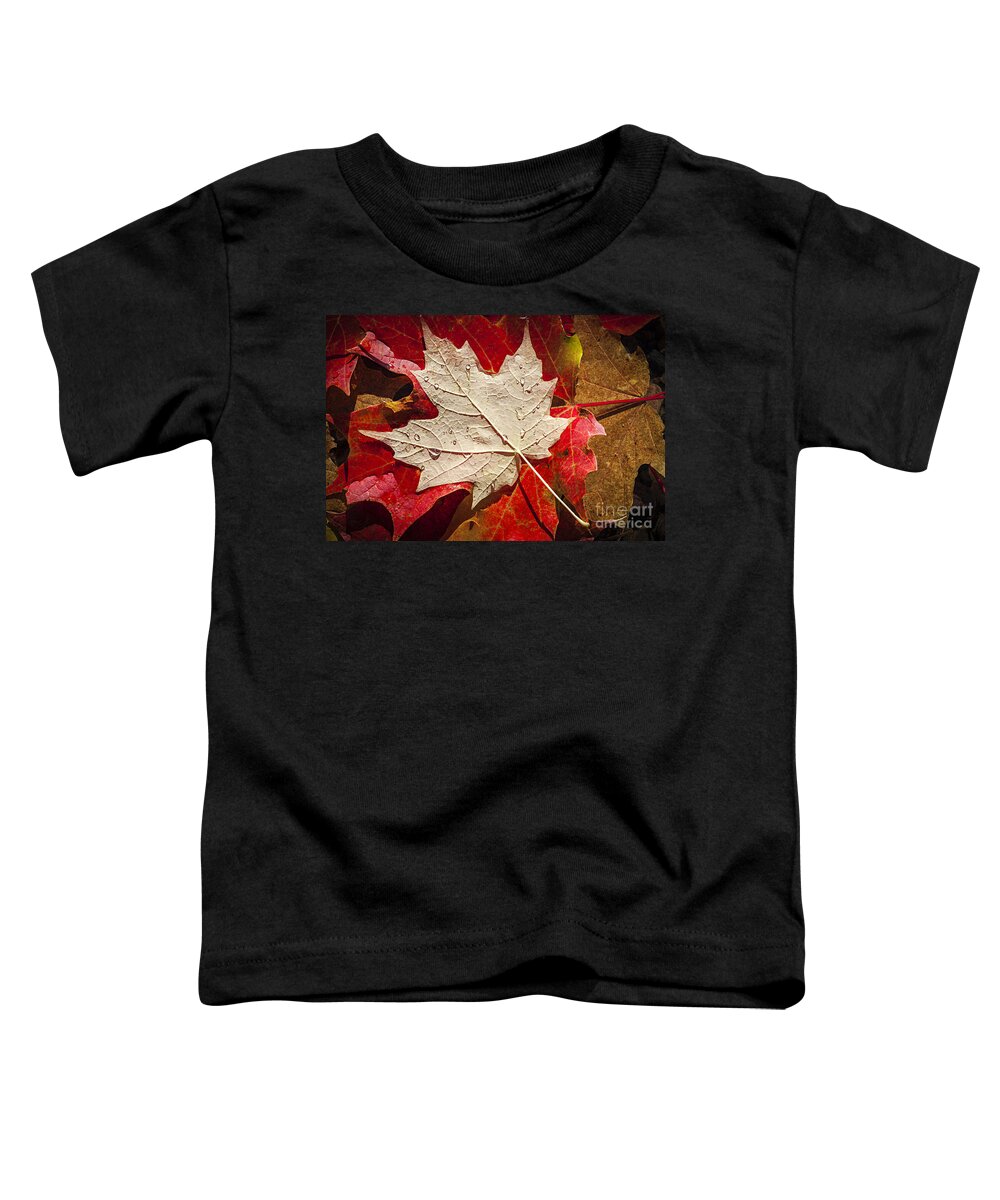 Fall Toddler T-Shirt featuring the photograph Maple leaves in water by Elena Elisseeva