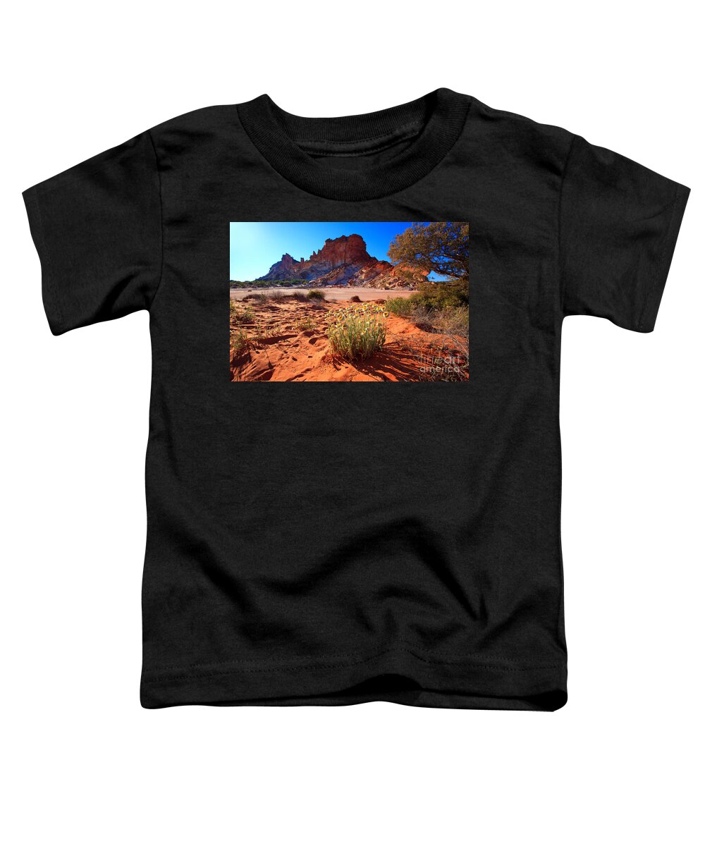Rainbow Valley Sunrise Outback Landscape Central Australia Water Hole Northern Territory Australian Clay Pan Toddler T-Shirt featuring the photograph Rainbow Valley by Bill Robinson