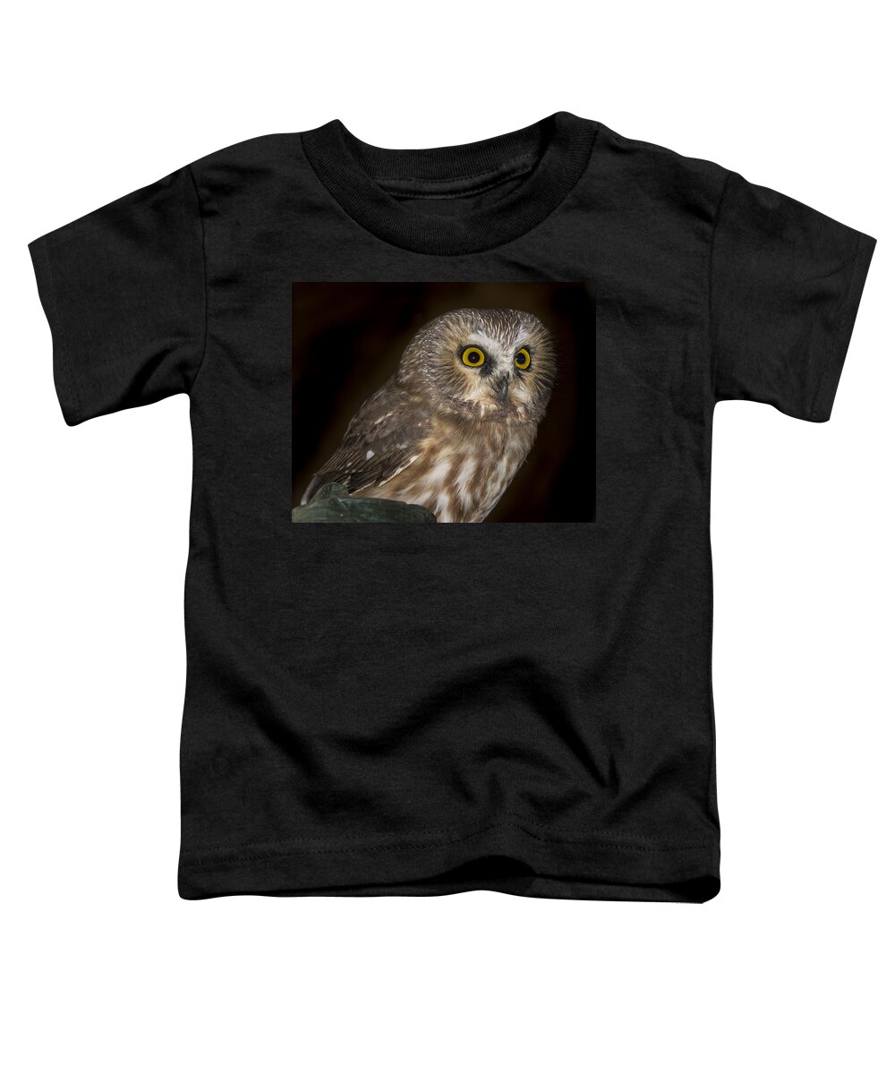 Owl Toddler T-Shirt featuring the photograph Saw-Whet #3 by Jean Noren