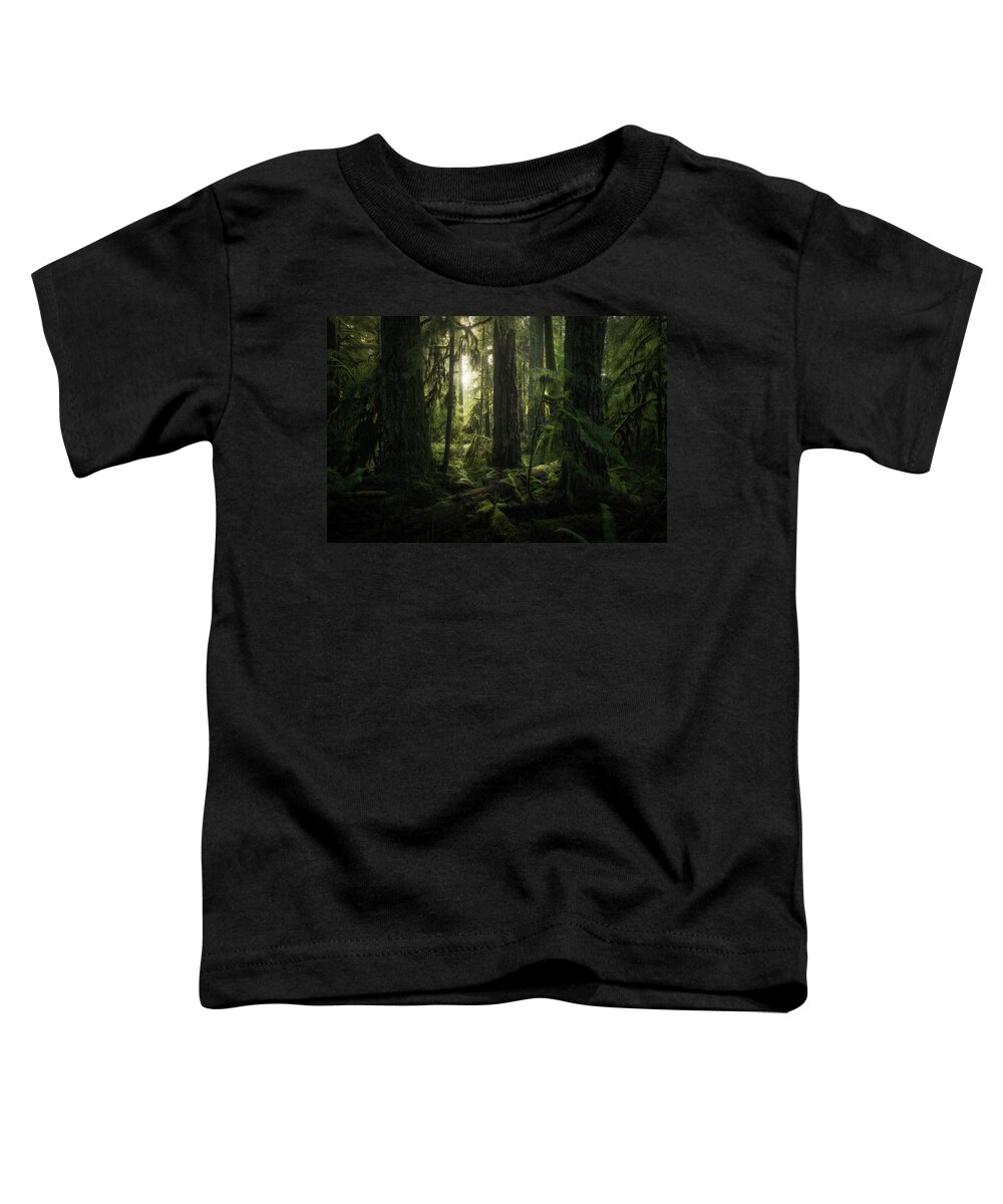 British Columbia Toddler T-Shirt featuring the photograph Cathedral Grove, Macmillan Provincial #4 by Robert Postma