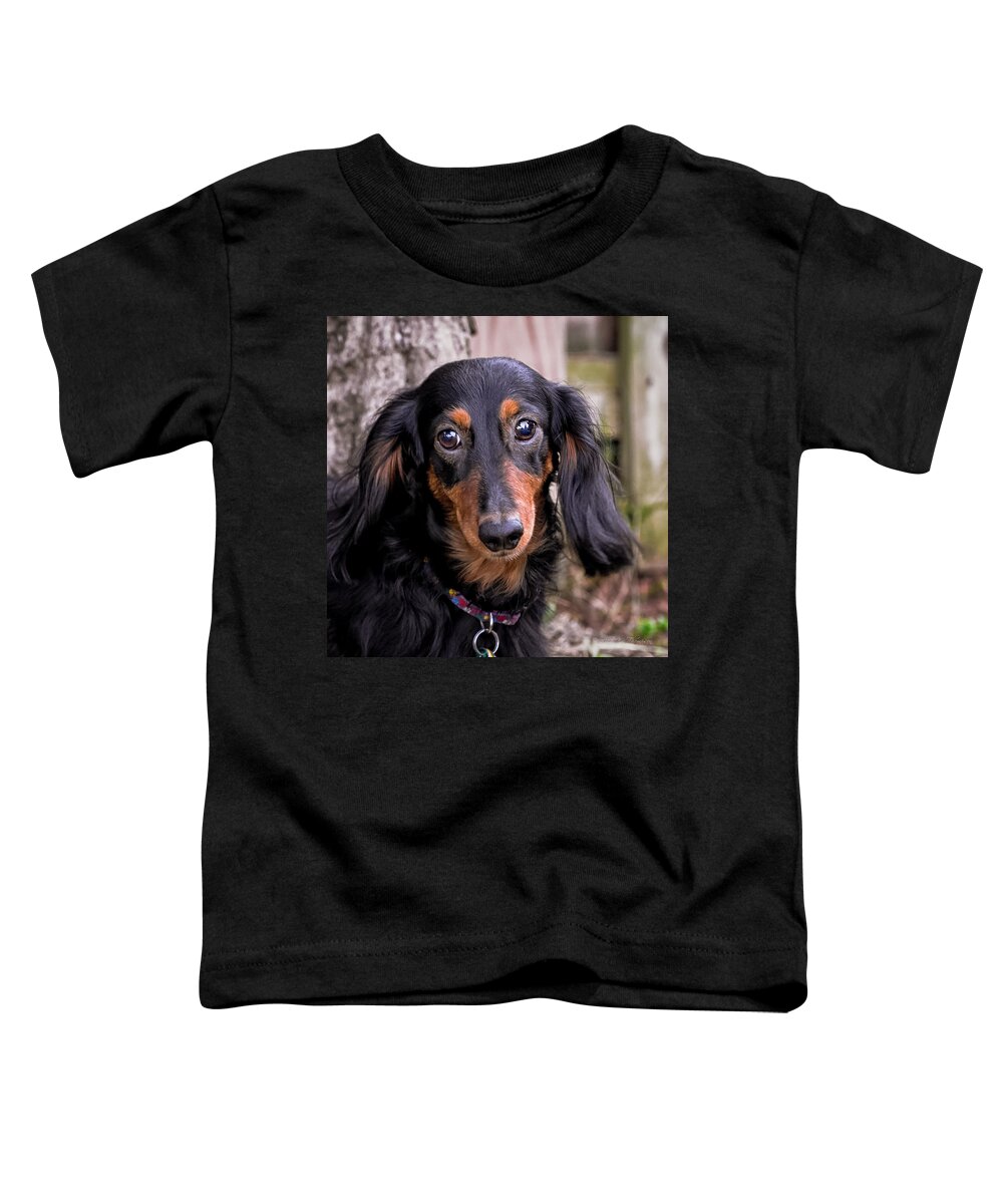 Mammals Toddler T-Shirt featuring the photograph Katie #2 by Jim Thompson